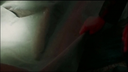 Harry Wild - Season 04 Episode 04